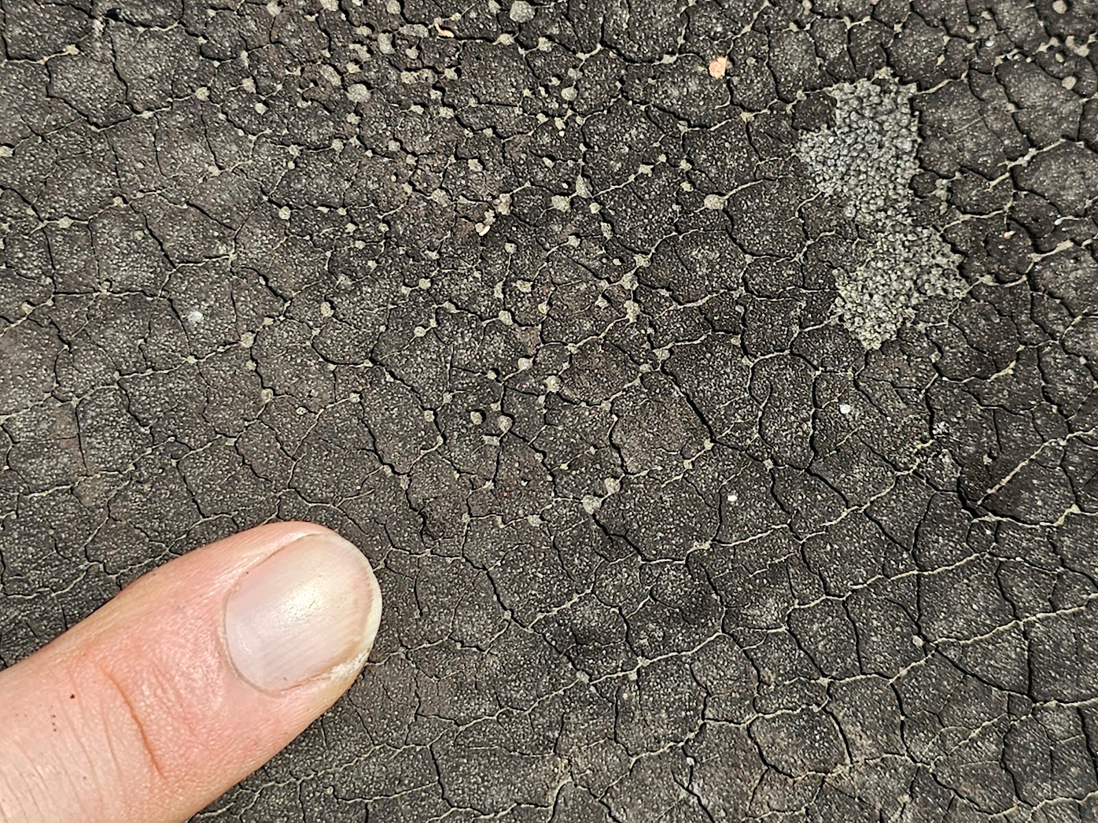 Modified Bitumen Roof Coatings - Part II