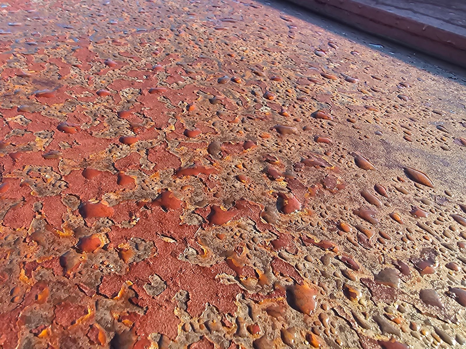 Terne and Painted Metal Roofs
