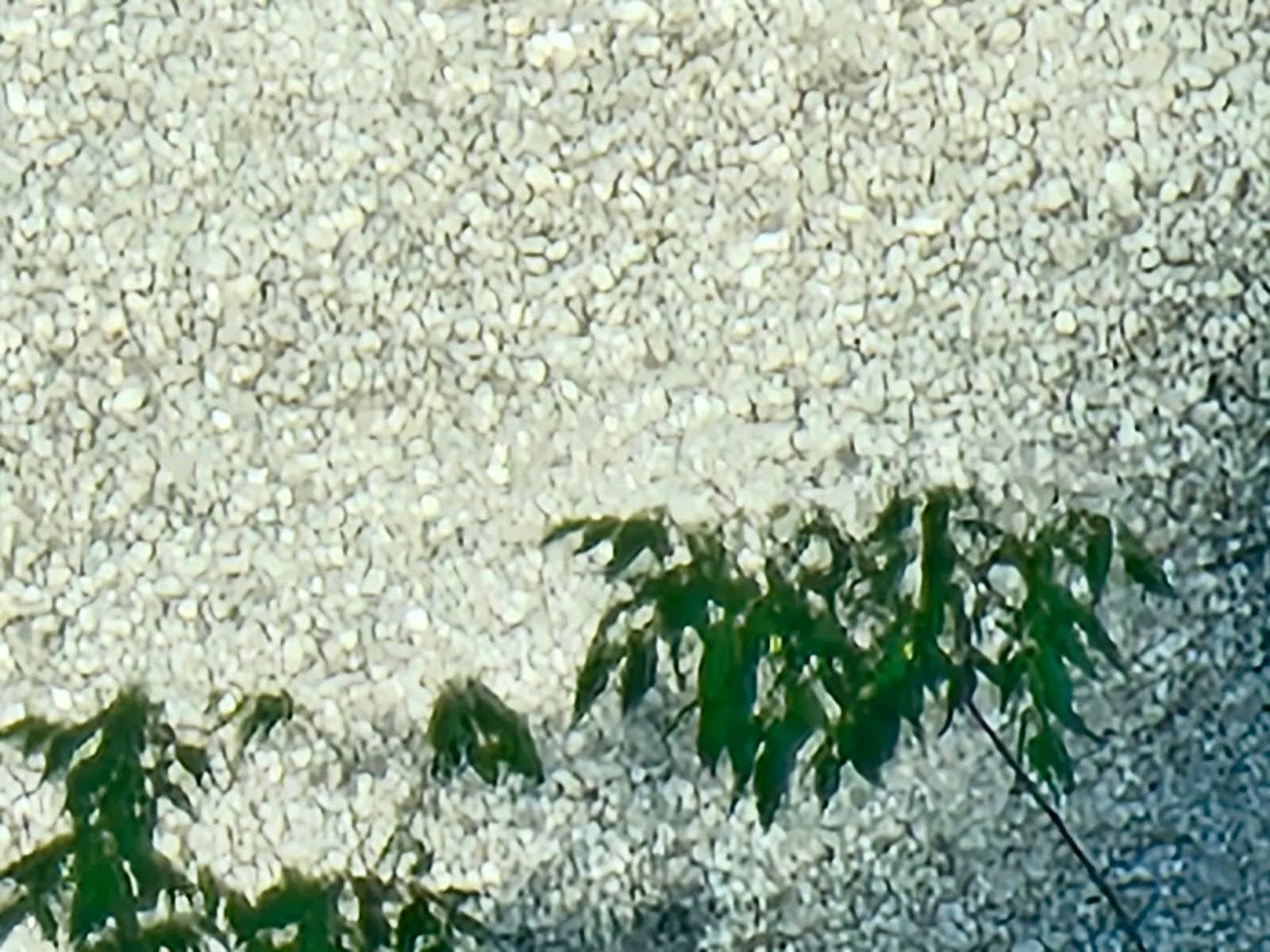 Old Built Up Roof with Ballast - Part I 3 Cross-section view of Built Up Roof materials and insulation