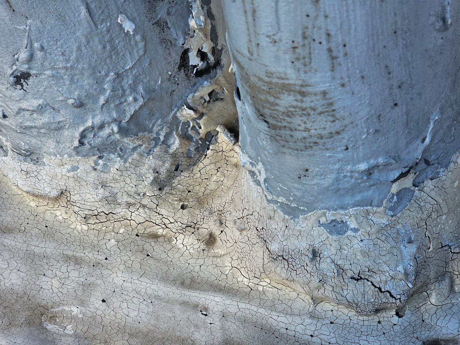 Technician inspecting roof penetration sealed with liquid flashing