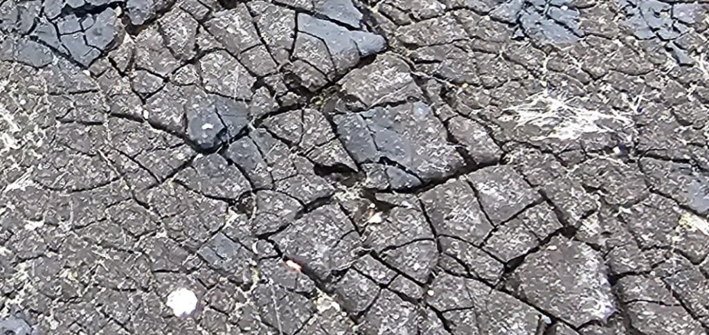 damaged by exposure to ultraviolet rays