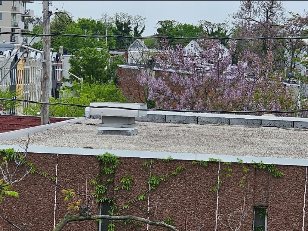 framing and construction perspective