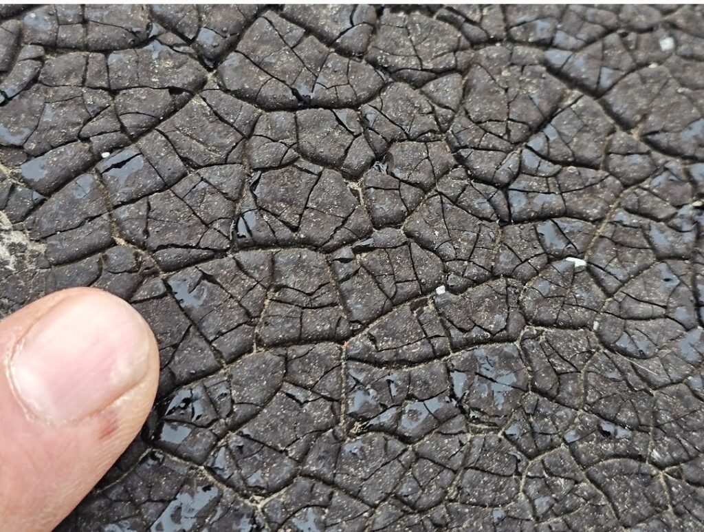 roofing membrane shown in the picture