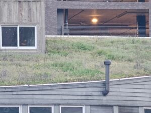 Home 14 Low-Slope Green Roofs - Part I
