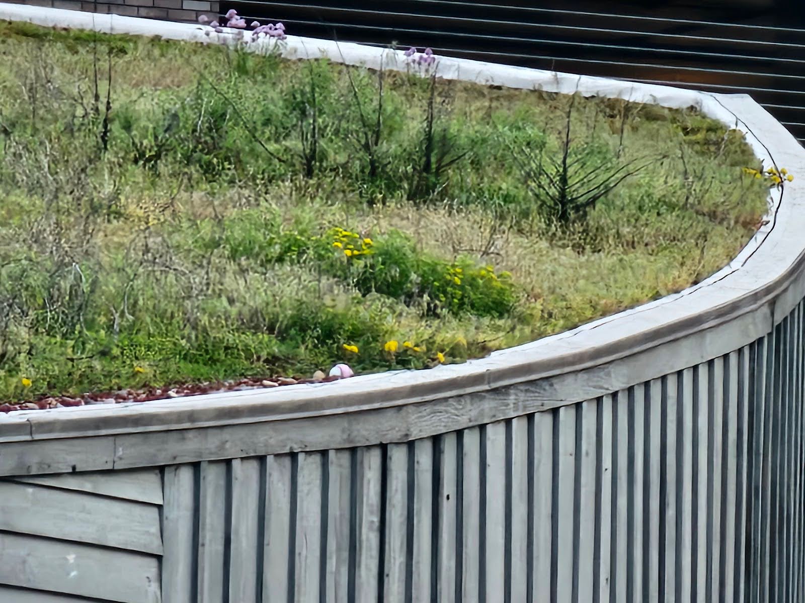 Low-Slope Green Roofs - Part II 3 lightweight soil will be placed on top of the filter layer