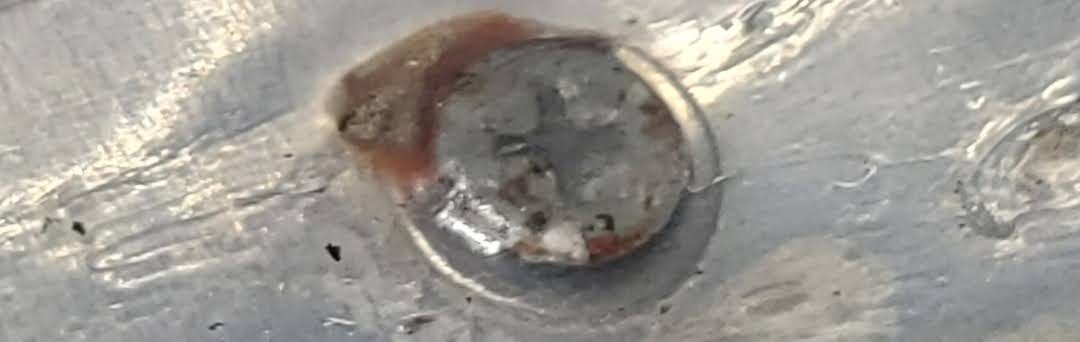 The exposure to ultraviolet rays