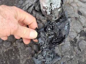 Leaking Flat Roof Penetration in Washington DC Area