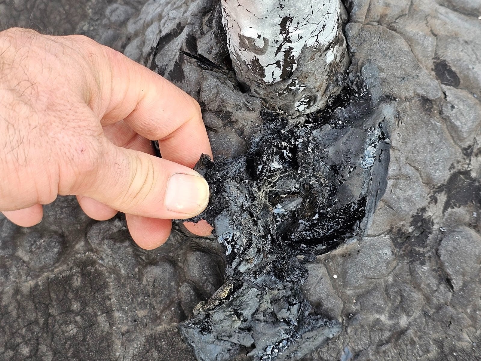 Leaking Flat Roof Penetration in Washington DC Area