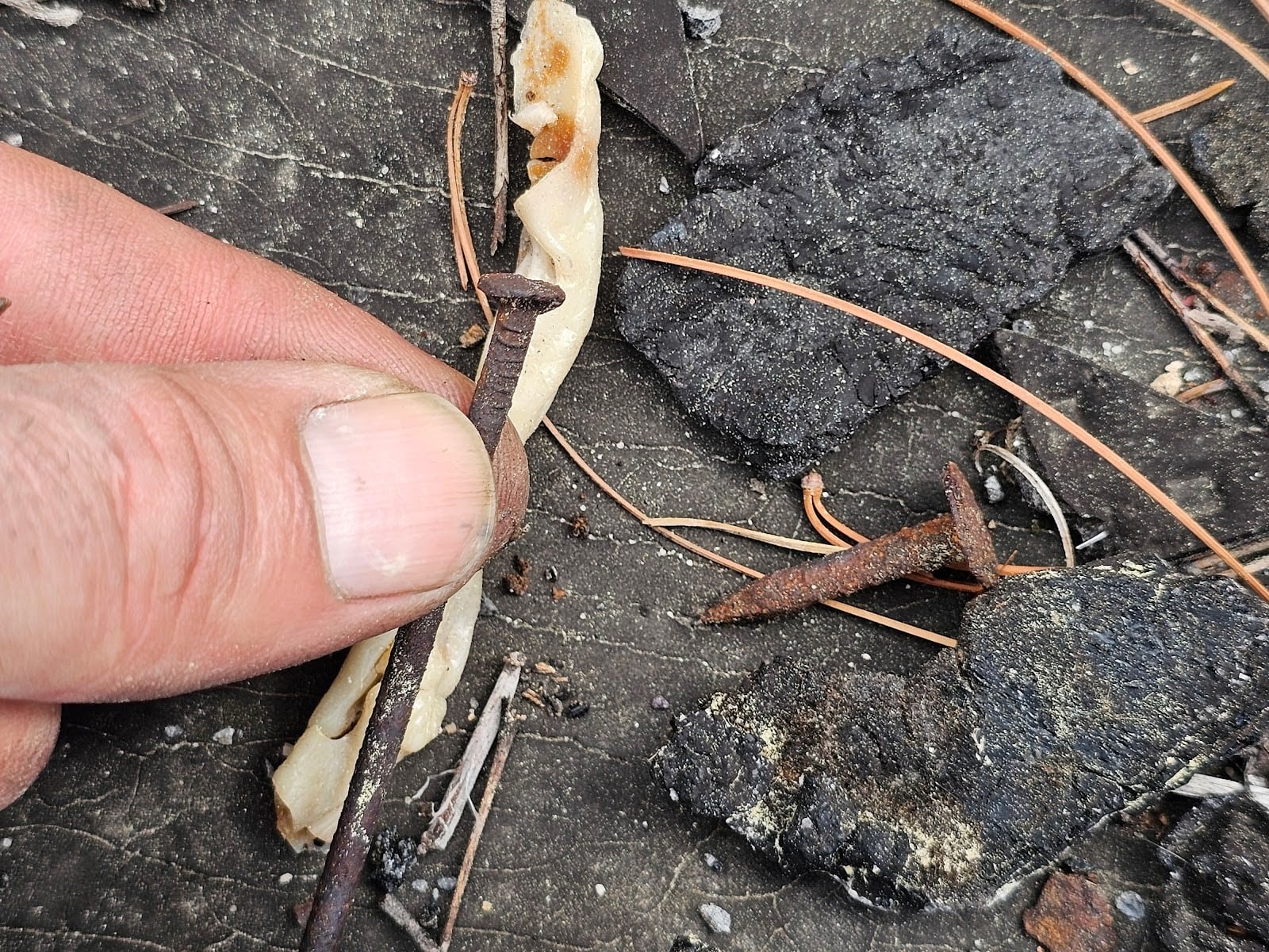 Residential roof showing wear and damage from nearby trash accumulation