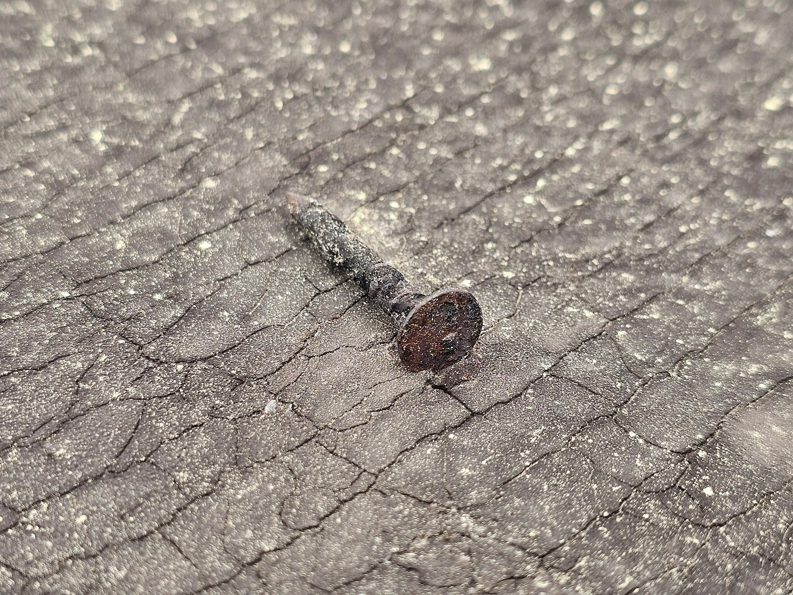 Roof Damage from a Neighbor's Trash - Part II