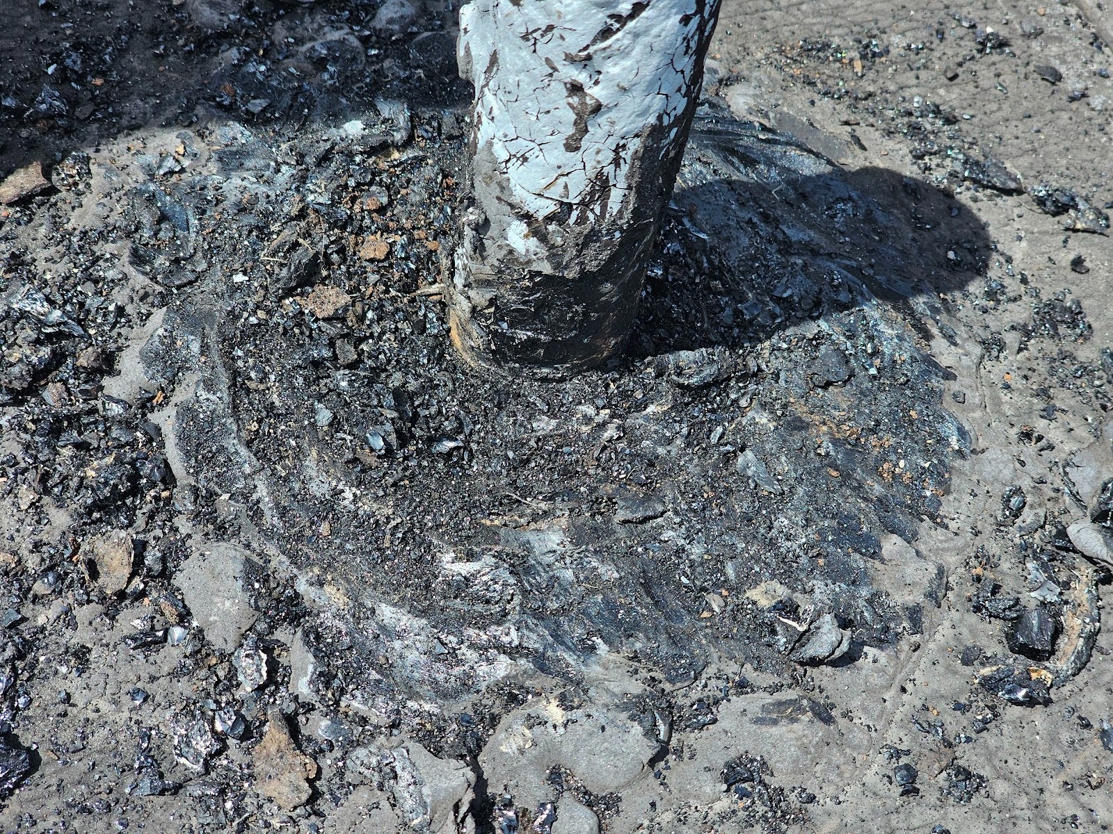 vast majority of the bulk of the mass of tar