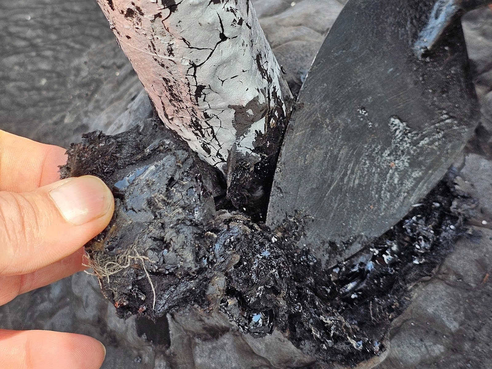 little triangle in the shape of the substrate membrane edge