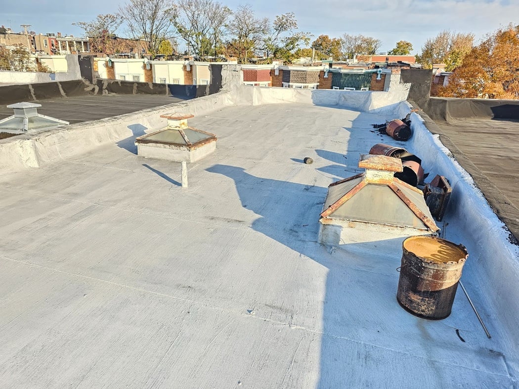 The painted roof in DC Homes