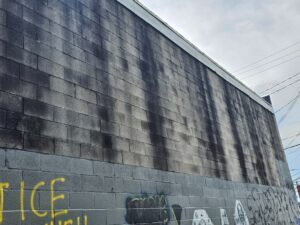 Watertrails Showing a Masonry Problem Caused by a Roof Defect in DC Homes