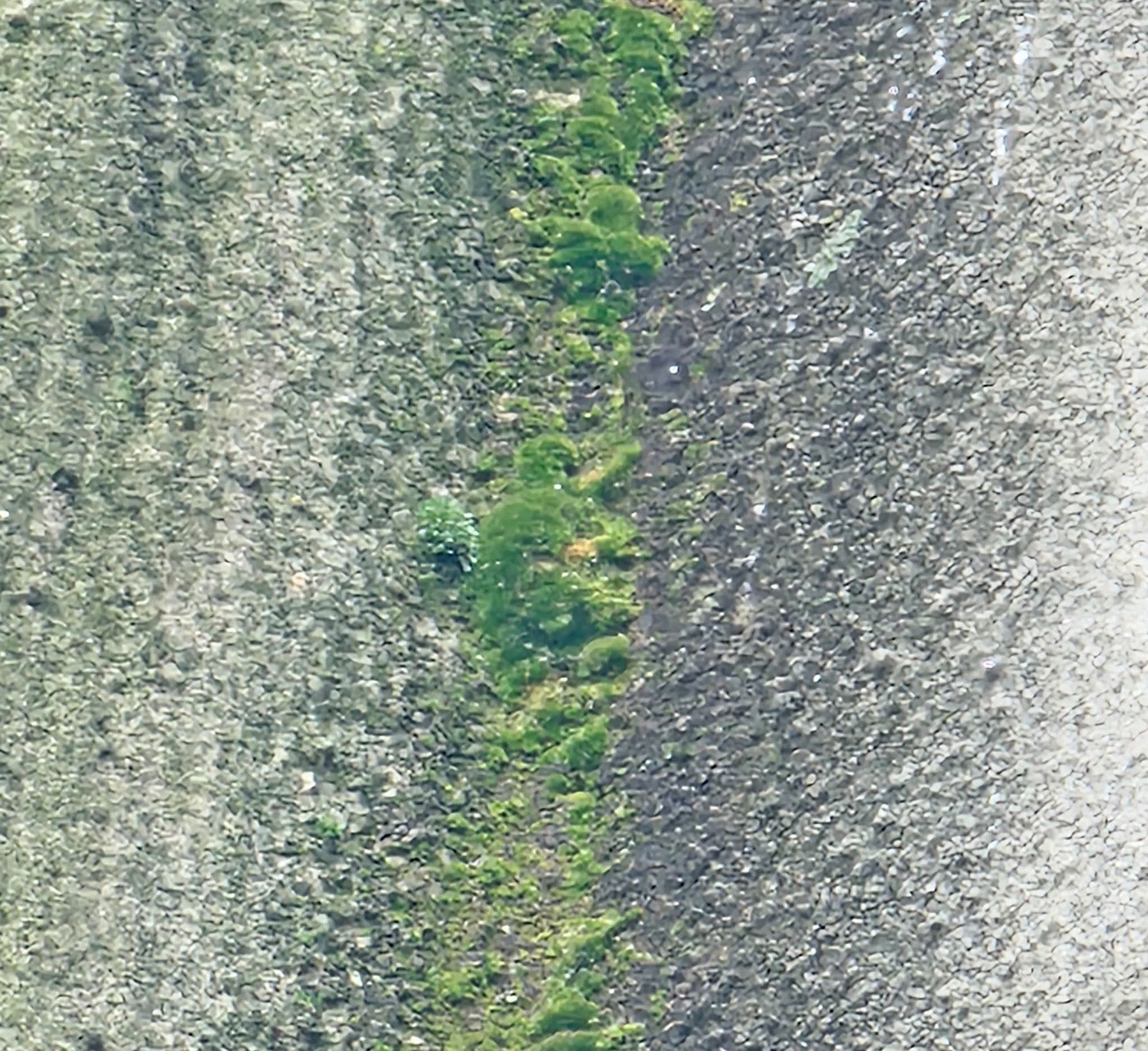 joint between the chimney and the remainder of the main wall