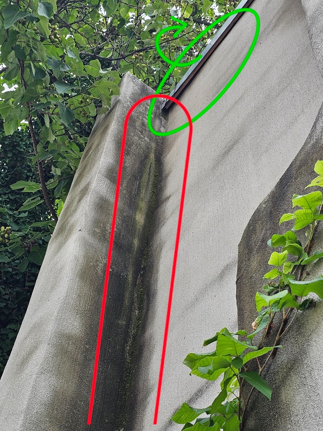 green marking shows the coping that should be sloped towards the internal part of the roof