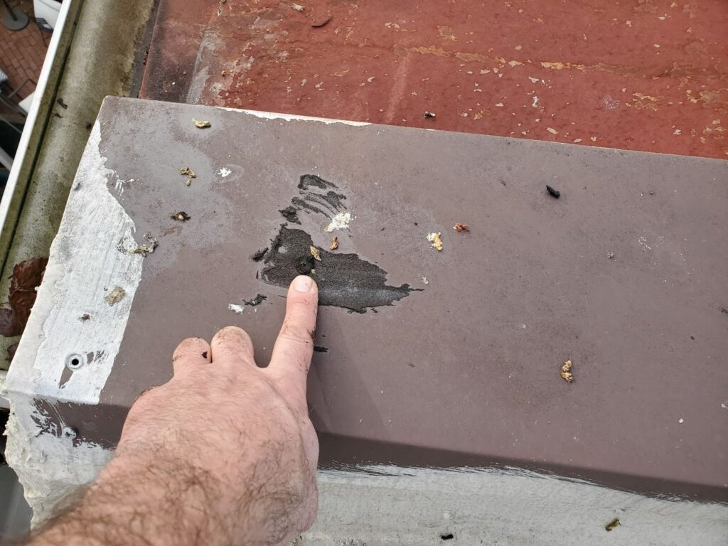 Completed parapet coping system with durable flashing and waterproof edge protection